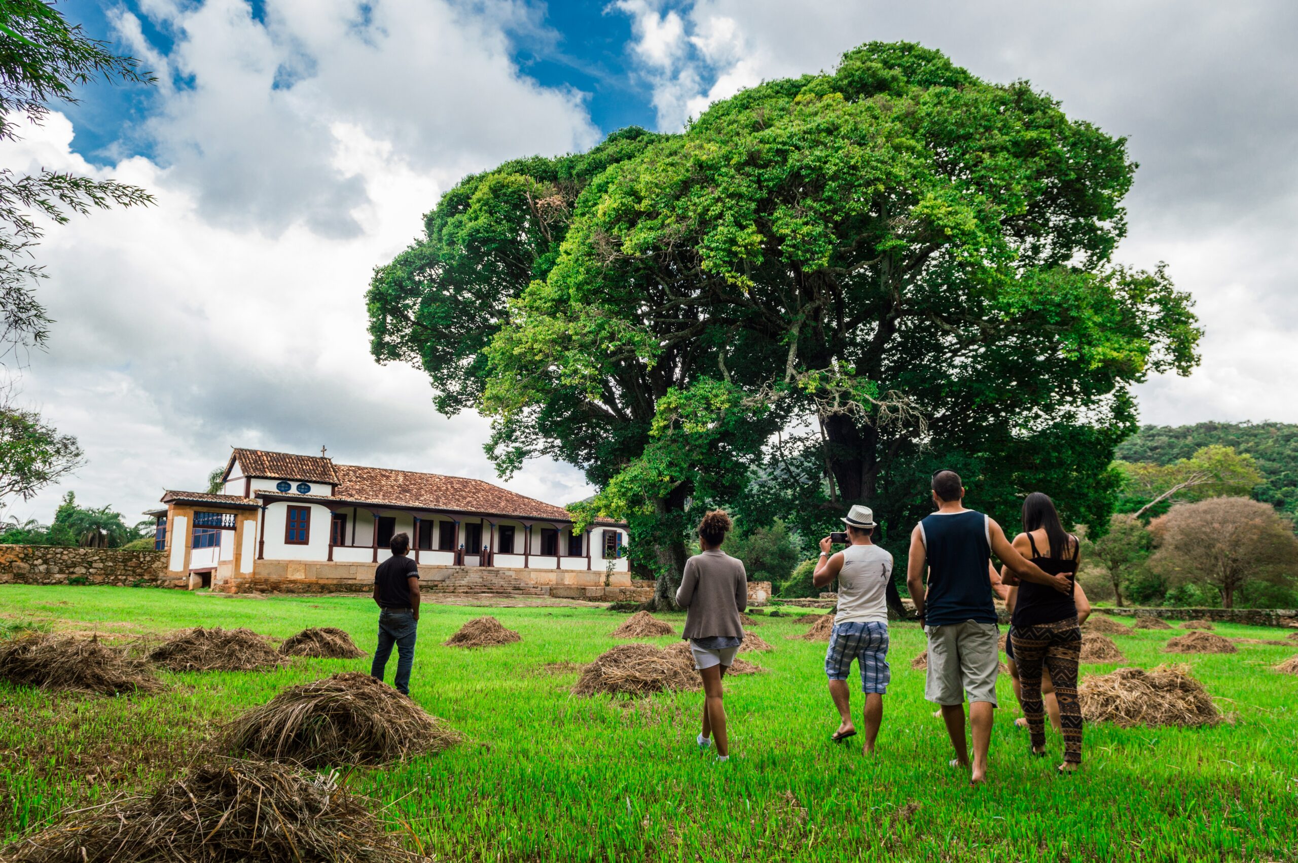 You are currently viewing The Treasure Hunt Project: Empowering Youth through Agrotourism